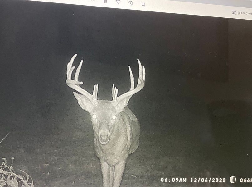 63078898884__749C2D51-859D-4B94-B011-8C5815FFD832