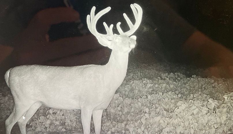 65163614113__75E1550C-EA63-4339-AD59-CB50237B4CB6