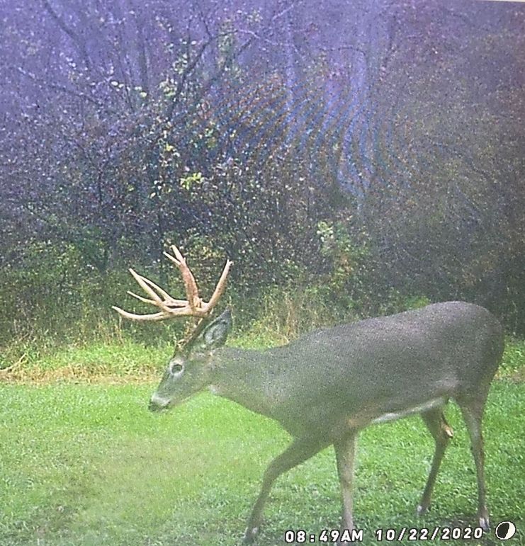 62545502711__B471CA8A-4A5C-4861-968D-7F14DC2A96A6