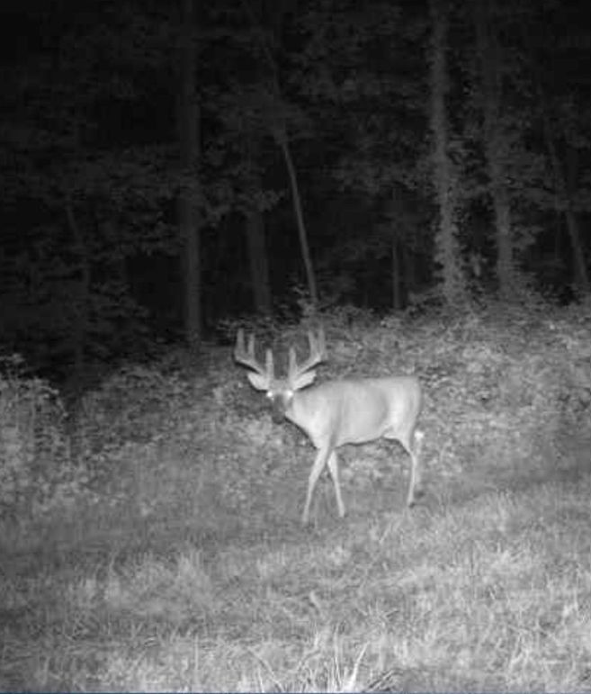 COYOTE RIDGE - 11112020 - 540 AM