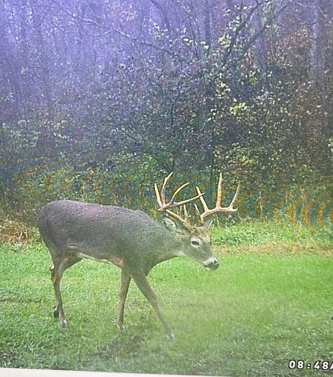 62545504687__095F4DA1-874C-4D23-9632-0DADD90C1E6B