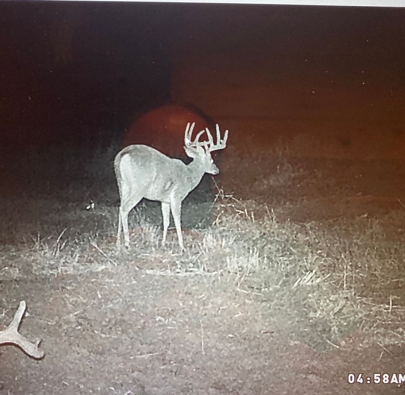 61888845010__BA51CD95-B5CC-446A-AC95-355BDA52C7A3