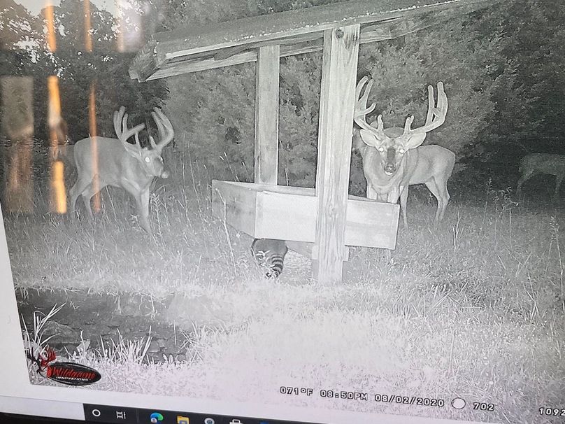 62956894305__748A1224-AA07-4019-8367-4D1CC2D7A01E