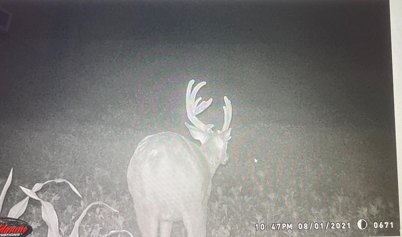 65042388505__32408C3E-C2CA-490C-BC19-DB1FA34F23B4