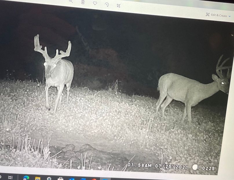 64922133601__83F07476-54EF-45BE-97D5-EA863A0C5D6C