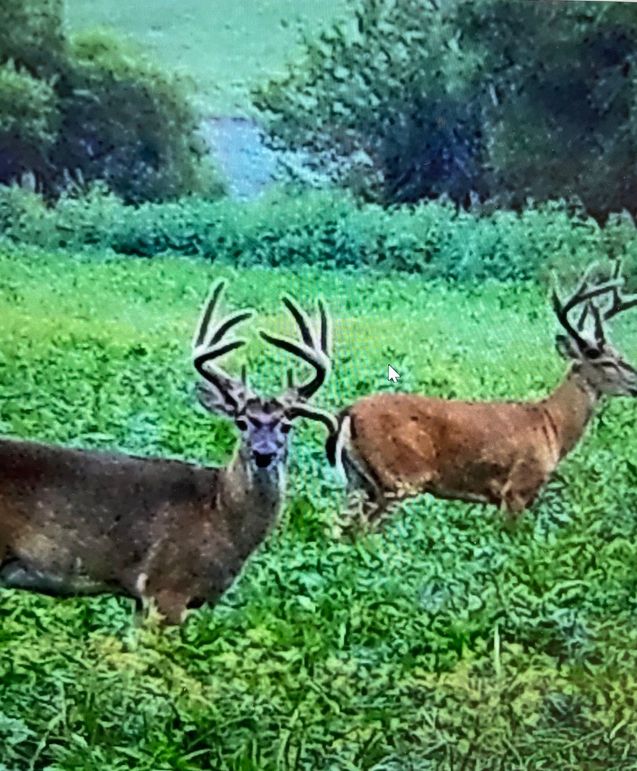 65067824221__8C0A67E2-E2FB-49EE-A18D-6467A2044F9F