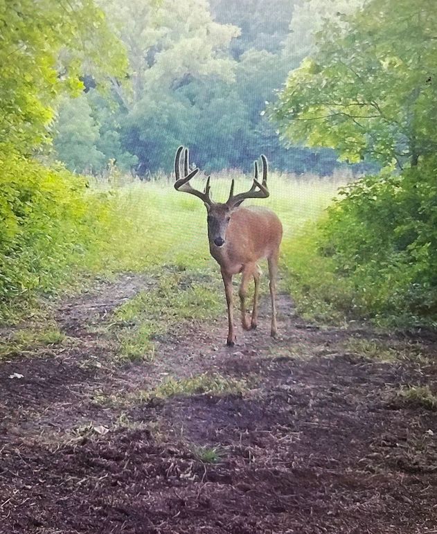 65163605047__5F68FAD7-F2EA-4852-8F14-CB3DCB8F296C