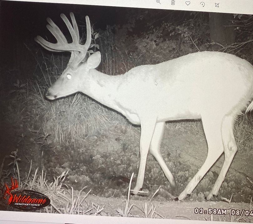 61888861081__92807DFF-C1E9-4D62-B674-406243EB9808