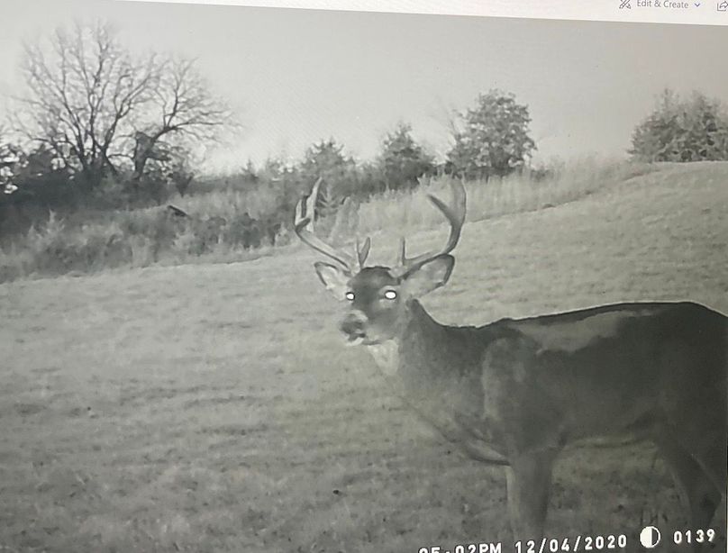 63078896273__384A5CD4-02BA-40FA-B0EB-FD469B1B6D50