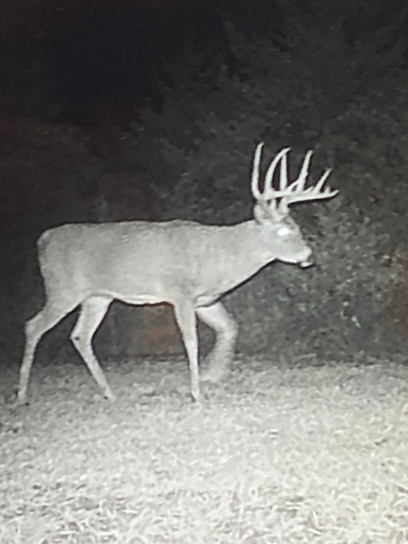 62552254331__7ACC811E-5D26-4B8D-A396-8F7B403222F3