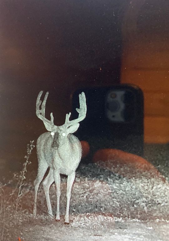 61888834956__87A147C6-165F-4E3C-B9F5-40A2A3EB7266