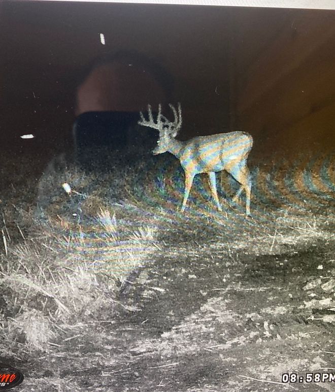 61799063365__E7898F79-F9AC-4ADE-85B3-29246CE1CFD1