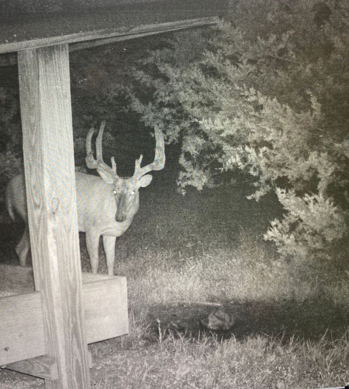 61799069209__FD08F4D1-0DA4-413D-9888-C72321B3535A