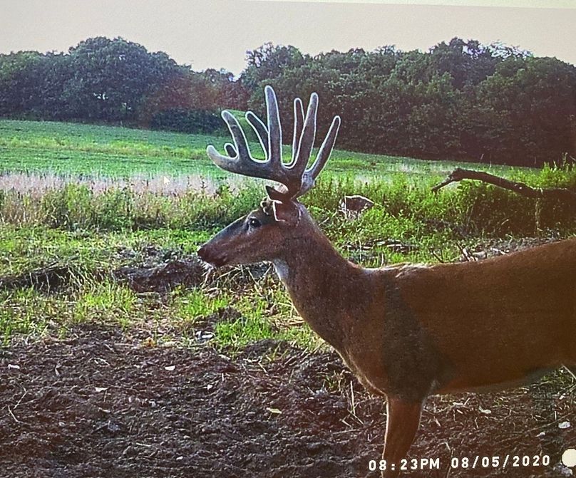 61888842237__5DAFC402-AC00-48EF-8A52-5CD8D67F8A74