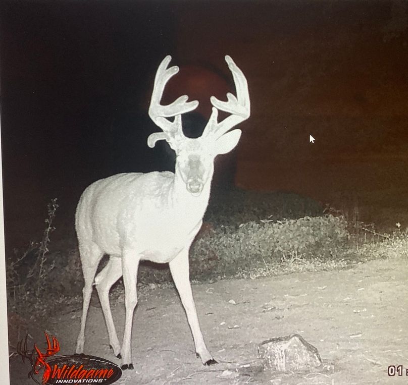 61888893518__FFD274AC-71CE-43B2-88D8-9AB6FED25C53