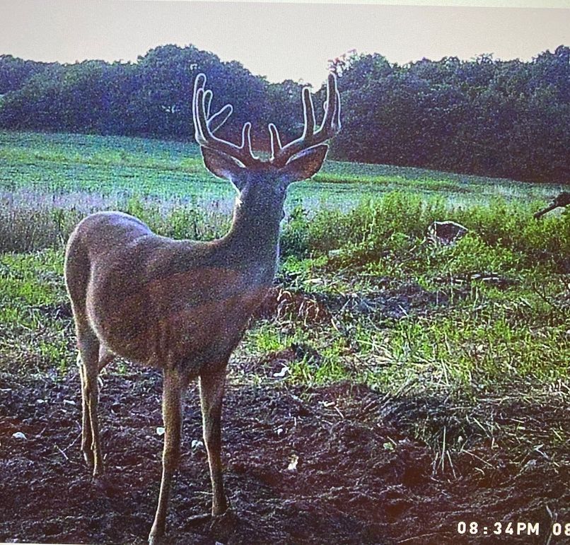 61888838334__7CC561A3-946D-4549-B916-87A377949E15