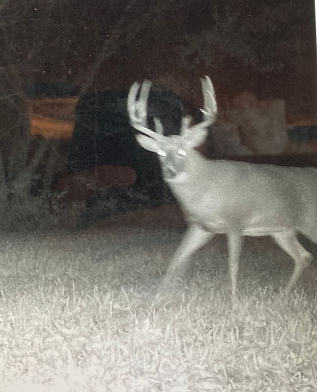 62552170940__6E82B090-1B07-4E91-B02E-CFC9918777DD