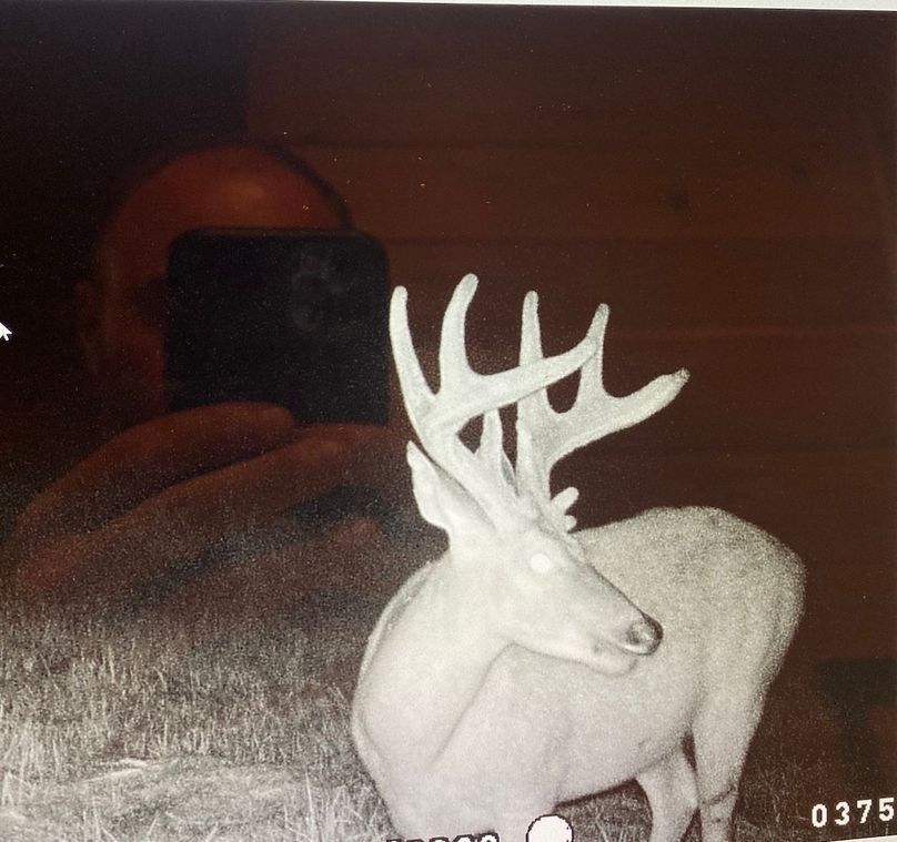 61888843886__E0E27D57-BC4A-46AF-8F13-1EB5356DF6C1