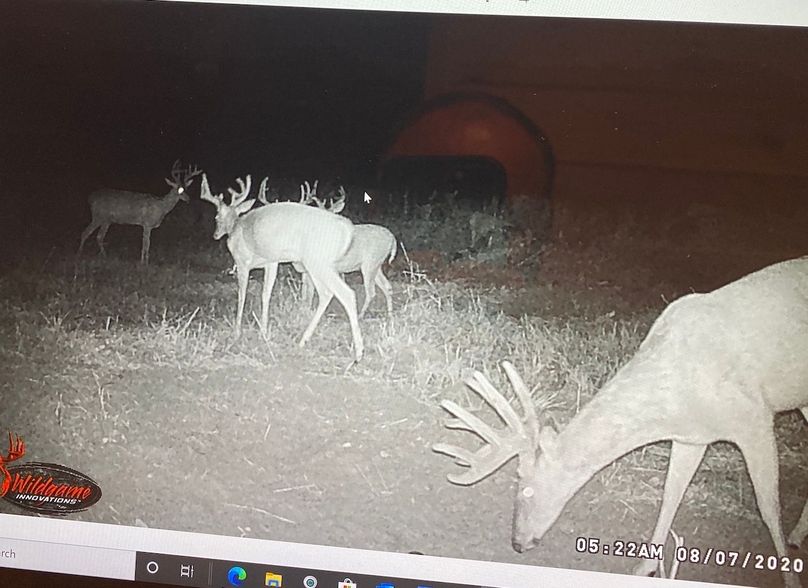 61888854503__E29D7224-F85F-46F1-9A42-66FC438E79AD