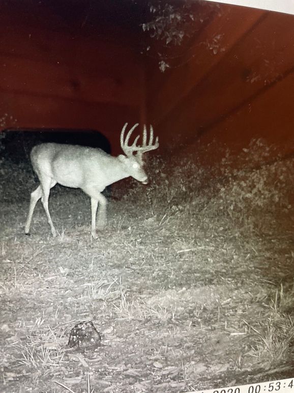 63262035123__A5E5FD28-E8E4-48BA-90F5-F09957F7D057