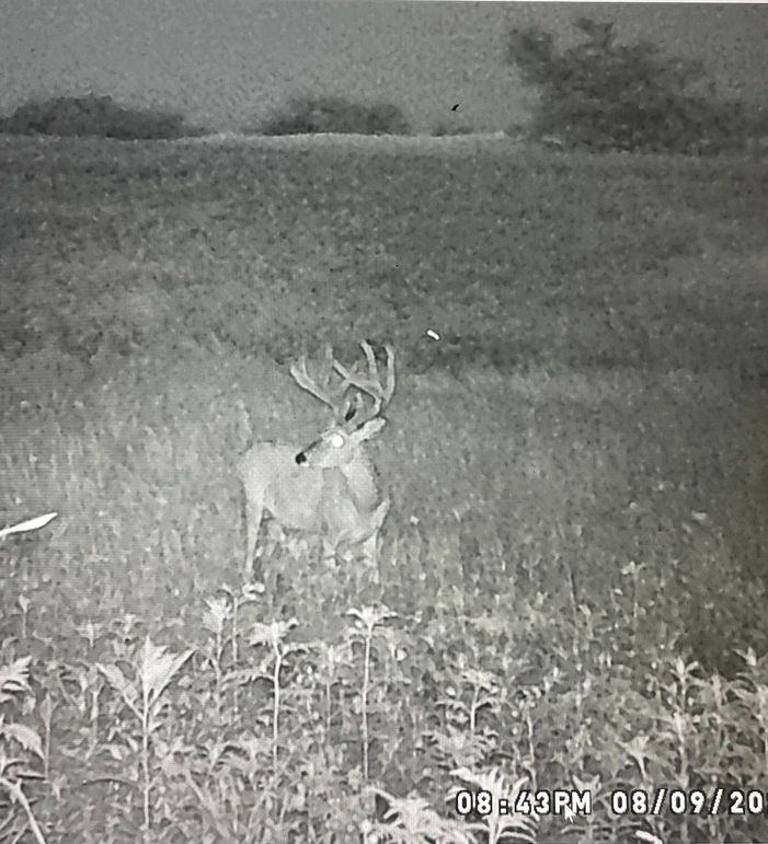 65042431083__1A51F325-95DE-4330-BD24-BAB22B779BBD