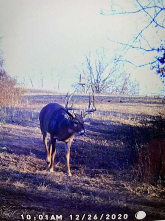 63262086692__23986E3F-EA4B-4995-9D2B-C485417561C4