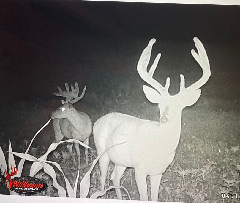 65042410470__8128653F-CBA6-446D-86DD-72ACF152484C