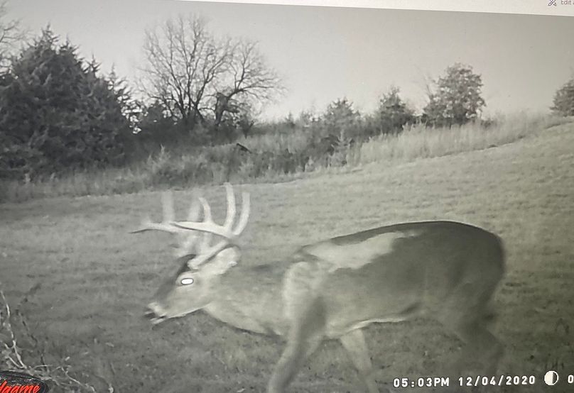 63078896903__003DCB28-0389-4199-A508-F9F8EE10A39F