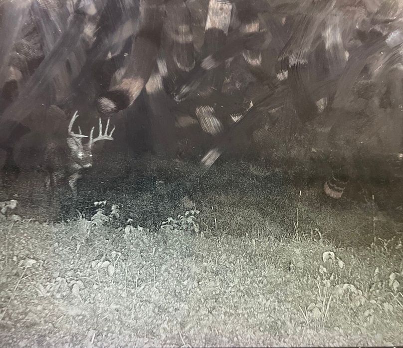 65930568354__C1903240-D083-4FA1-973D-DFD3F7A3C068