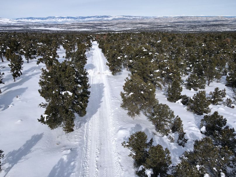 dji_fly_20230113_131846_67_1673641138685_photo