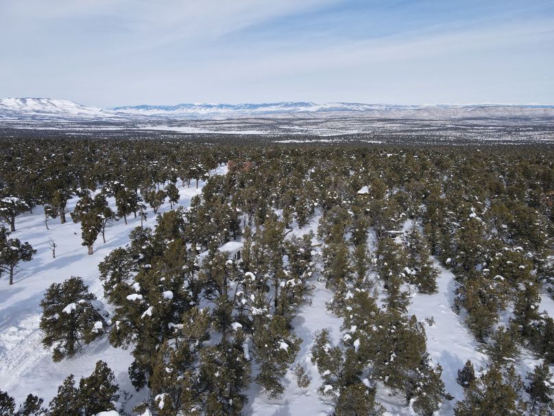 dji_fly_20230113_131944_68_1673641196879_photo