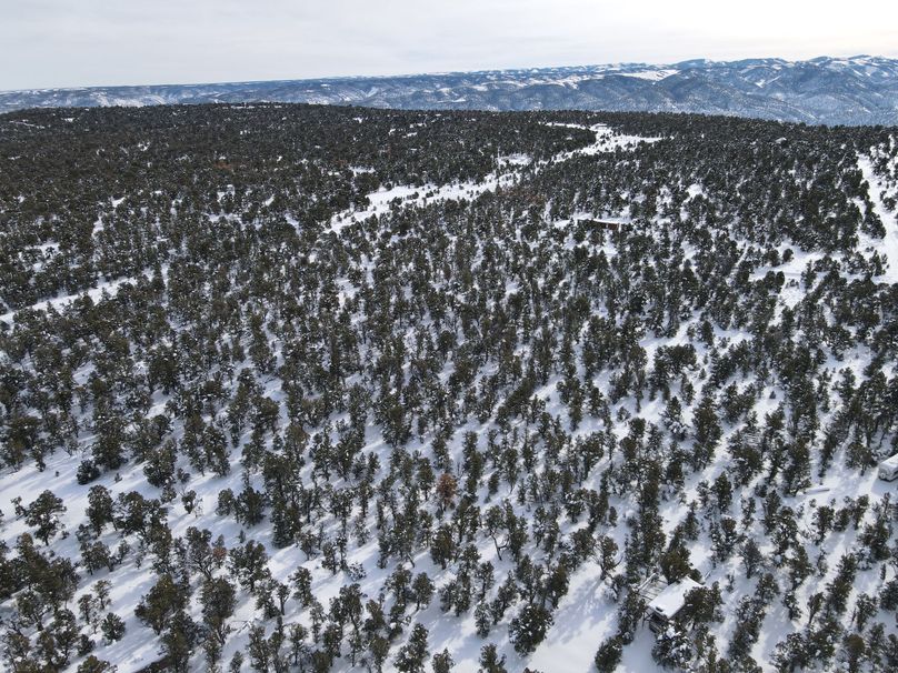 dji_fly_20230113_132540_89_1673641630216_photo