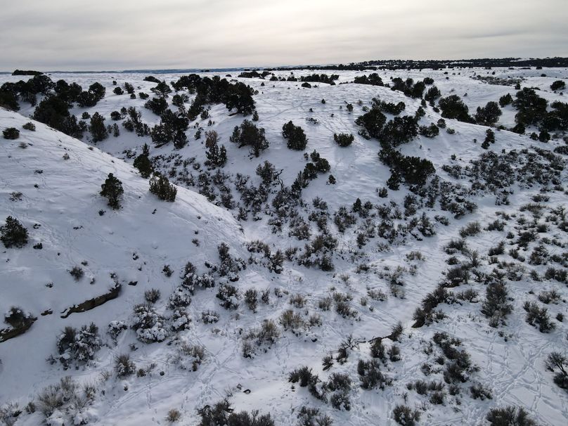 dji_fly_20230113_144718_109_1673646530288_photo