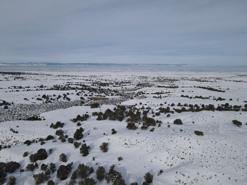 dji_fly_20230113_144450_97_1673646313495_photo