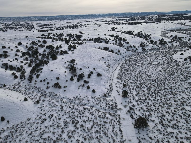 dji_fly_20230113_144820_115_1673646622731_photo