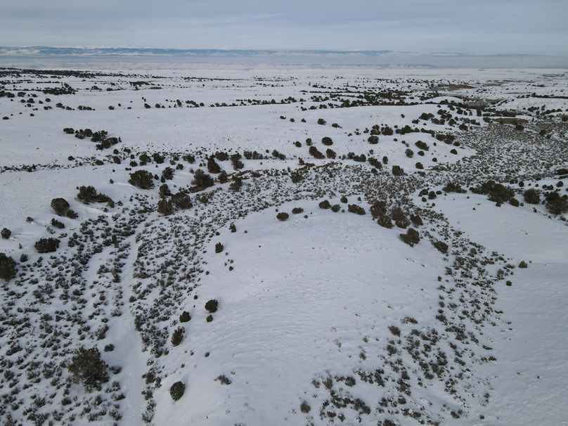 dji_fly_20230113_145316_136_1673646823276_photo