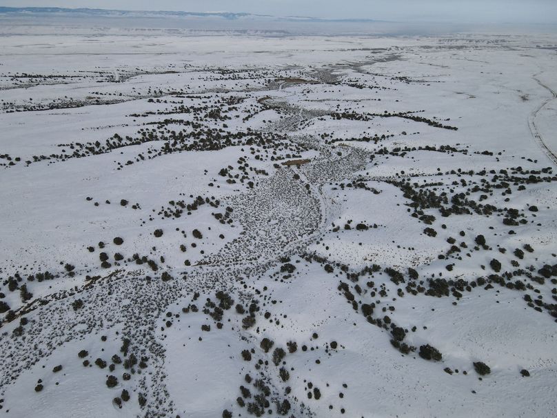 dji_fly_20230113_145226_131_1673646770937_photo