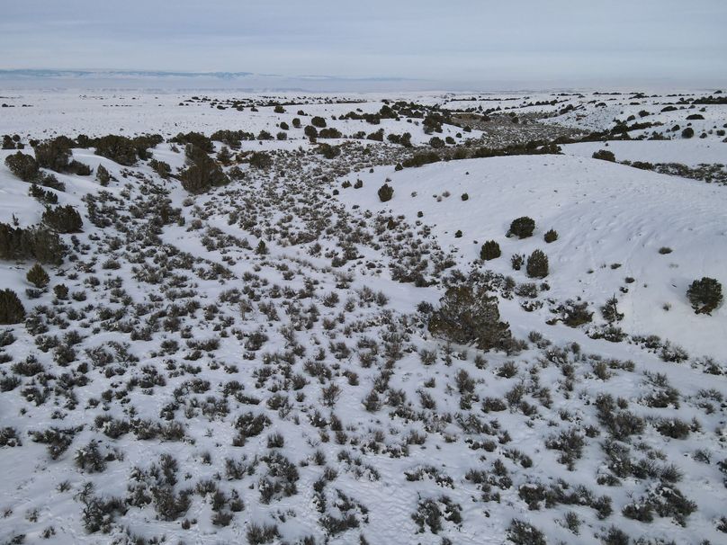 dji_fly_20230113_145346_139_1673646942318_photo