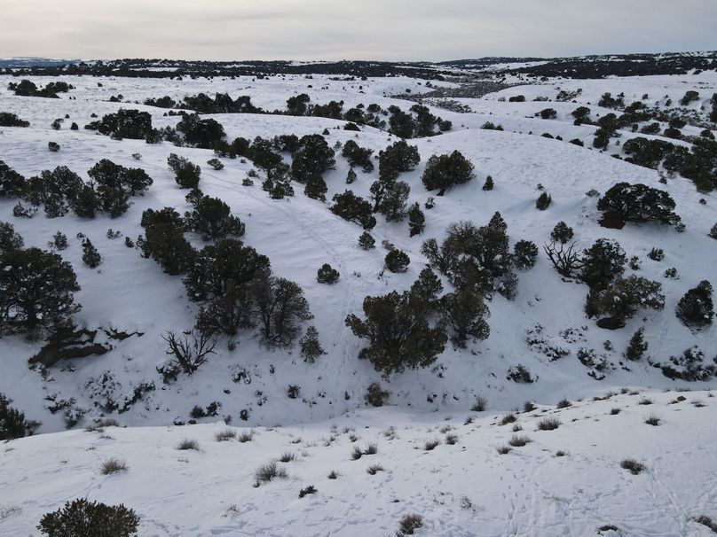 dji_fly_20230113_145454_151_1673646995837_photo