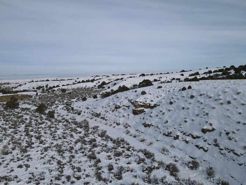 dji_fly_20230113_144702_108_1673646511352_photo