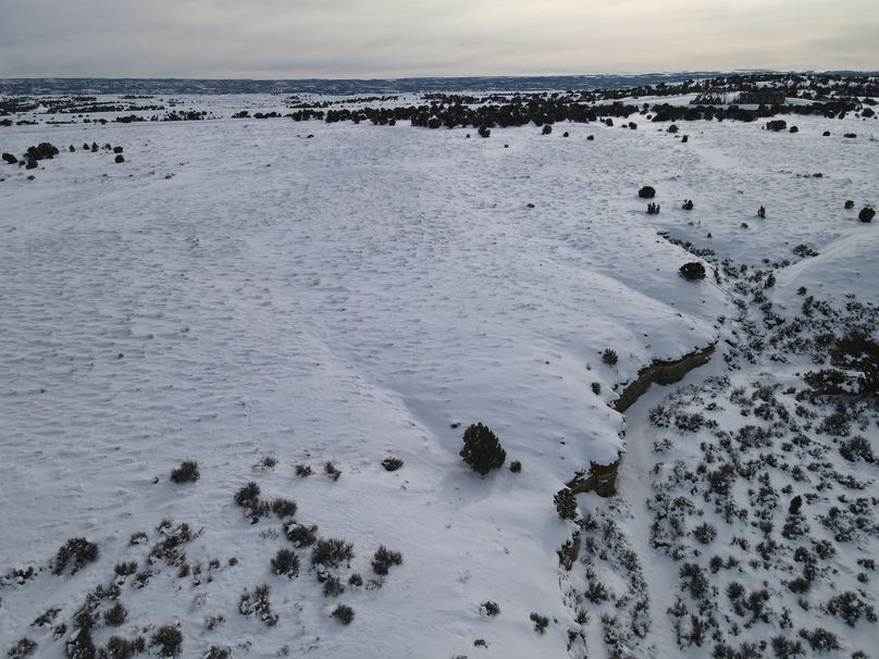 dji_fly_20230113_145322_137_1673646837118_photo