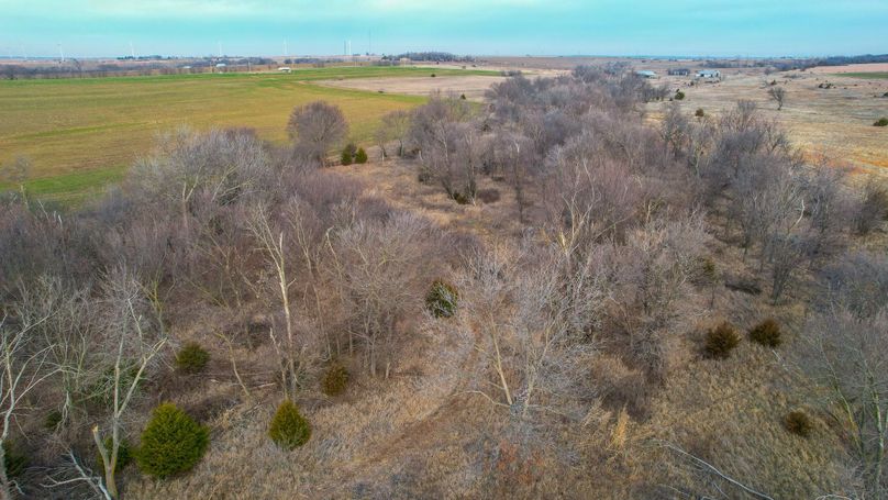 23 dji_fly_20230111_082906_275_1673448631149_photo