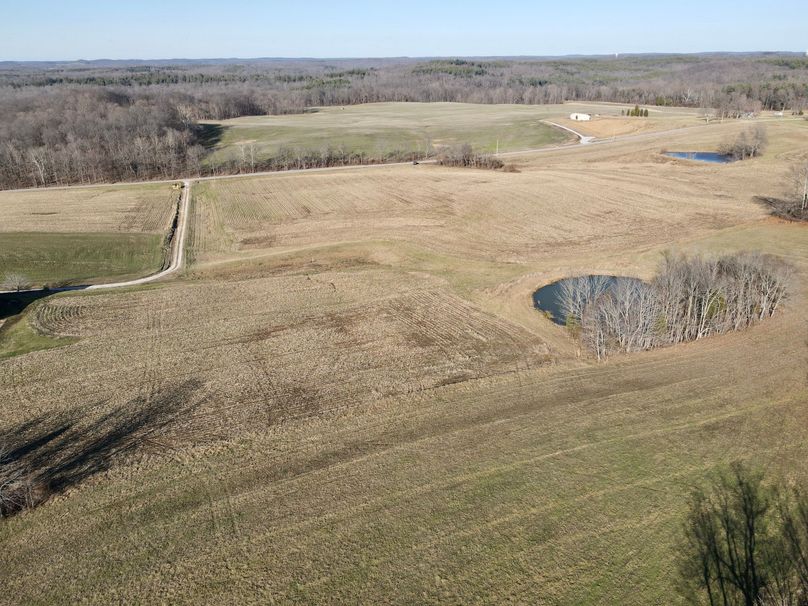 1dji_fly_20230117_143402_322_1673987659277_photo