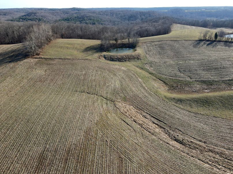 3dji_fly_20230117_143648_334_1673987833331_photo