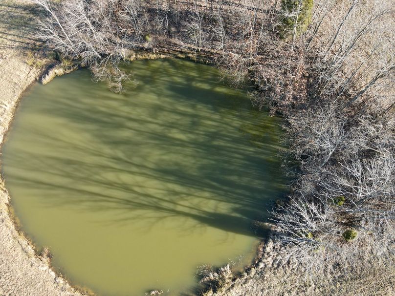 4dji_fly_20230117_143530_329_1673987743047_photo