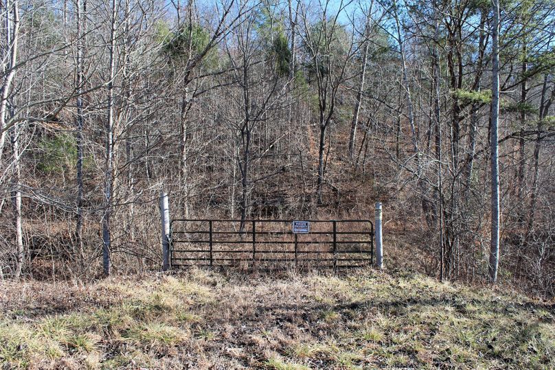 007 gated entrance at the northwest section of the property along KY 15