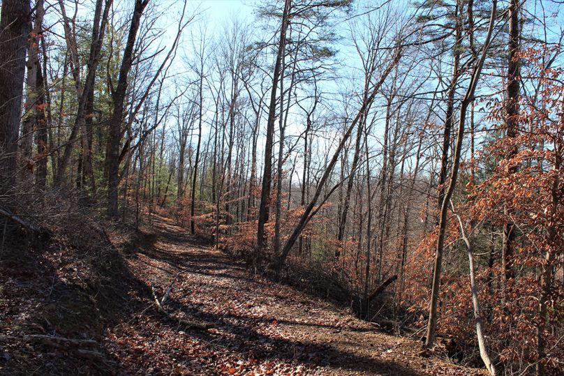 019 wooded draw in the eastern section of the property