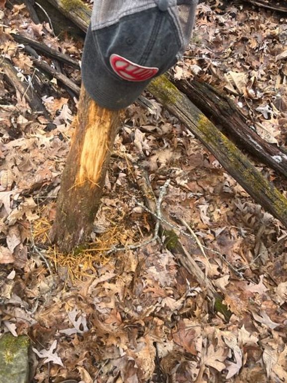 69558246532__14FA9018-5911-462D-B2FE-D24AA9A7A78D