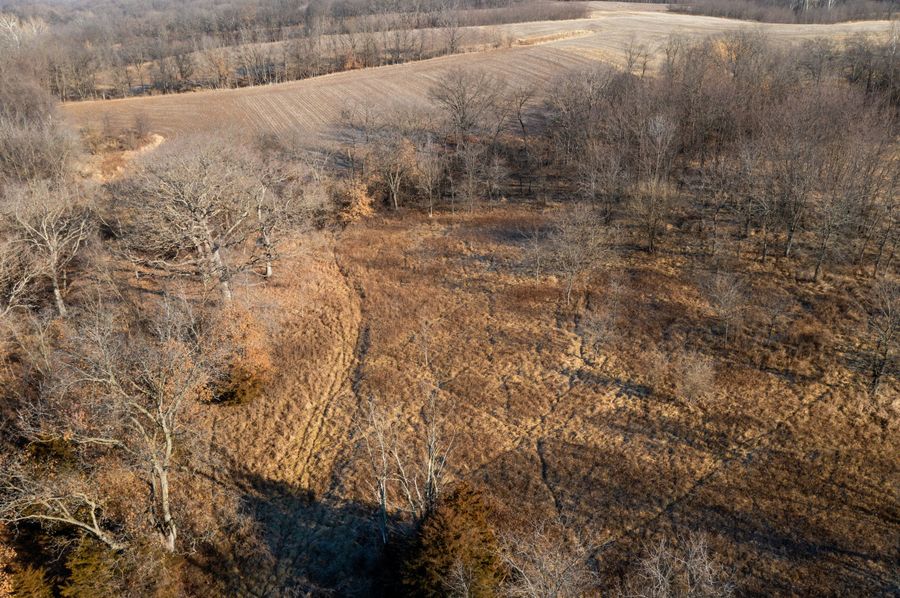 Pike IL 145-67