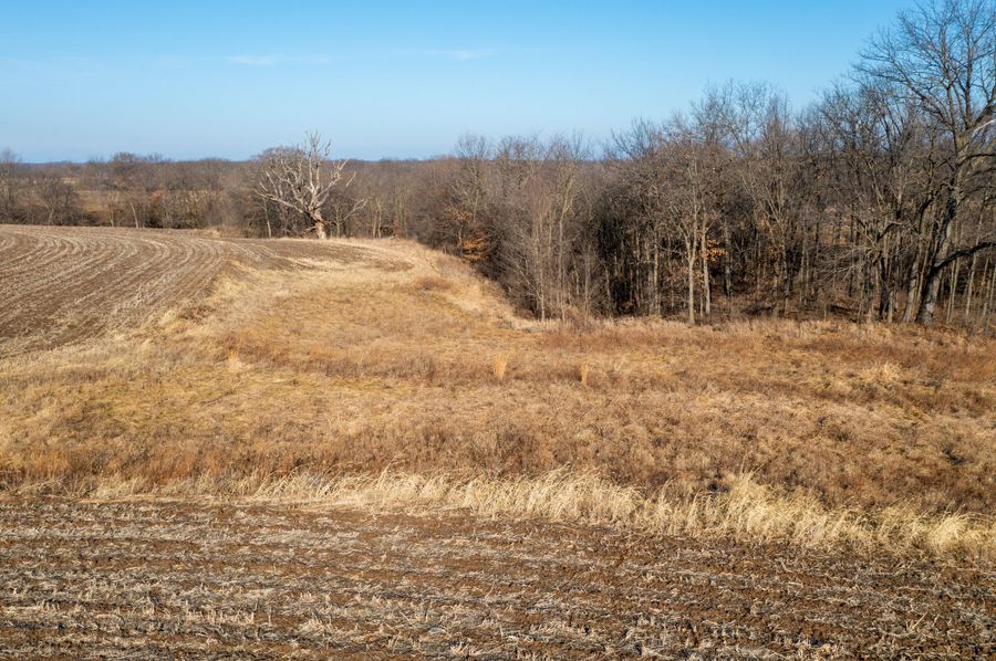 Pike IL 145-66